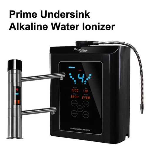 Prime water ionizer