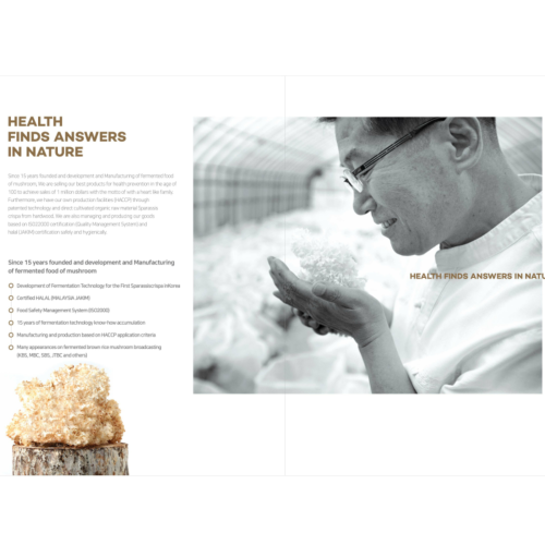 Company introduction