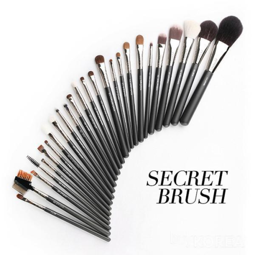 Secret Professional Brush