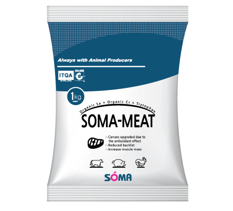 SOMA MEAT