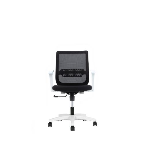 Ace Ergonomic Office Chair
