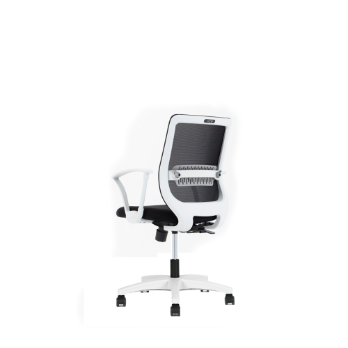 Ace Ergonomic Office Chair