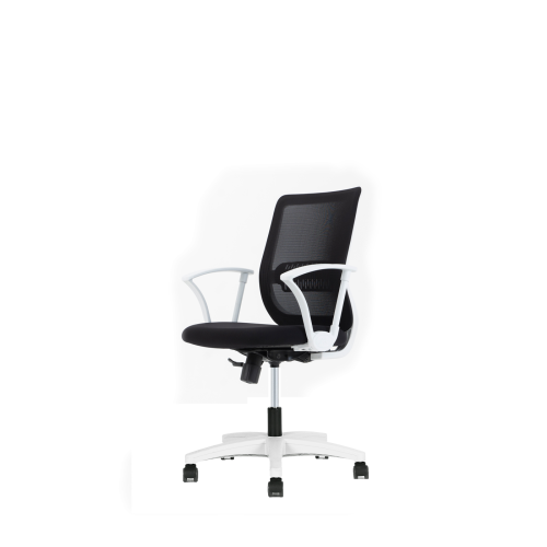 Ace Ergonomic Office Chair