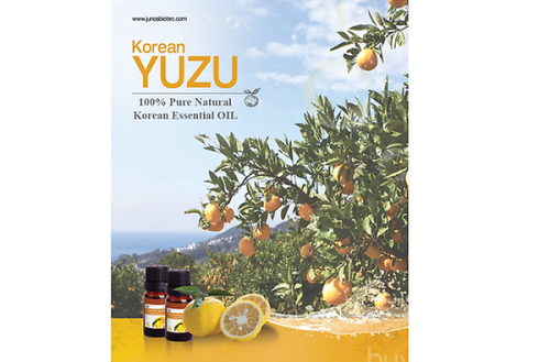 Korean Yuzu 
