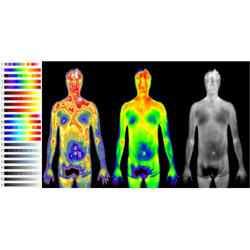 innerVue3