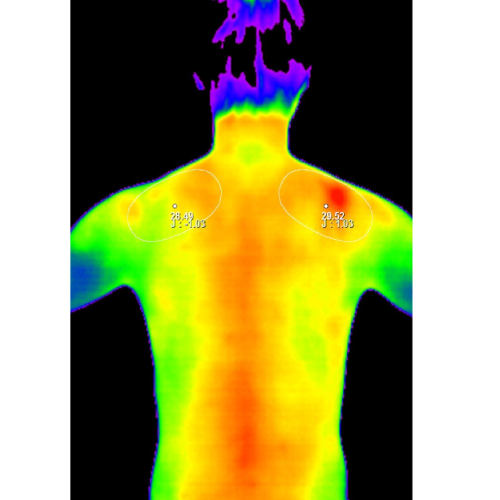innerVue3