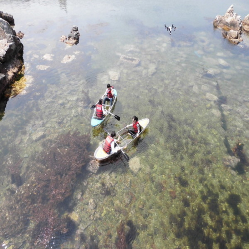 Poly carbonate clear canoe HN102