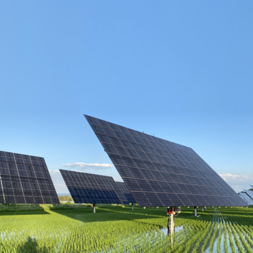 Solar tracking structures