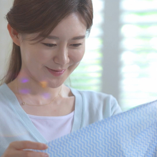 Disposable Dishcloth