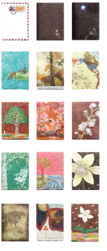 CashTank PassportWallet used Tyvek