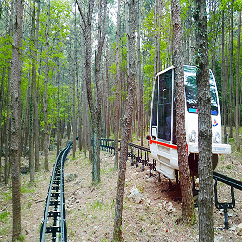 Monorail Tour Trolley