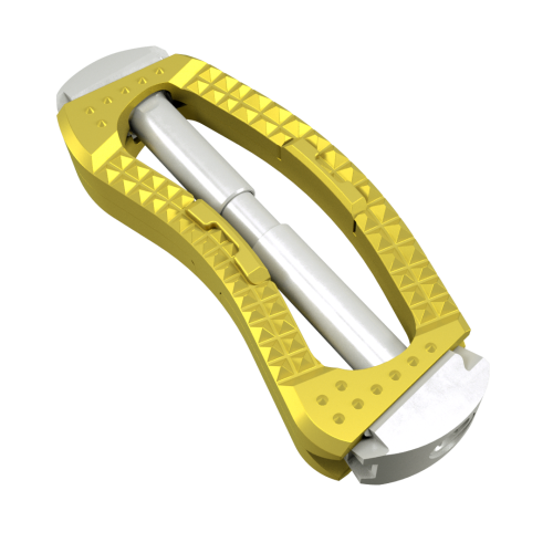 Expandable Lumbar Cage System for AnteriortoPsoas