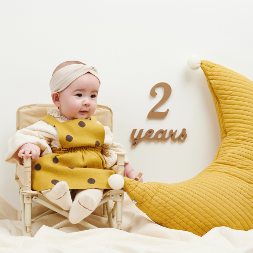 Wooden Milestones Newborn Photography 