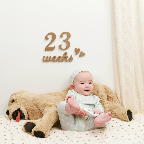 Wooden Milestones Newborn Photography 