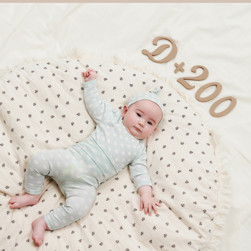 Wooden Milestones Newborn Photography 