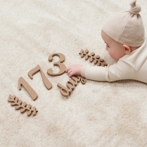 Wooden Milestones Newborn Photography 