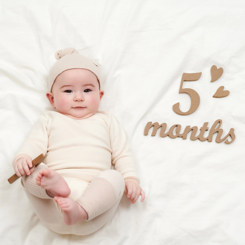 Wooden Milestones Newborn Photography 