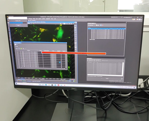 Qunatified images are retrieved into Excel files.