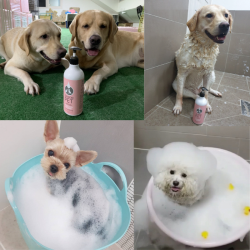 DAWONPET MIPU Protein Bomb Shampoo