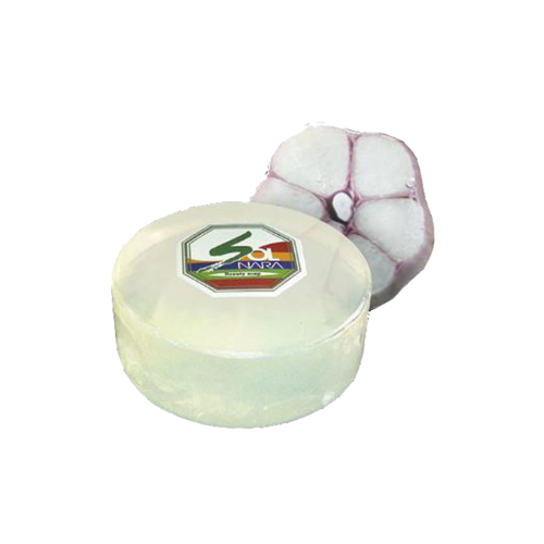 Natural Pine Needle Soap Garlic Soap Peony Soap