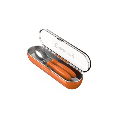 spoon fork case