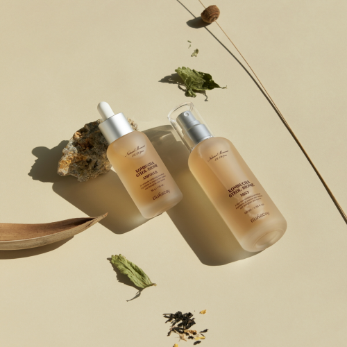 Elishacoy Kombucha line