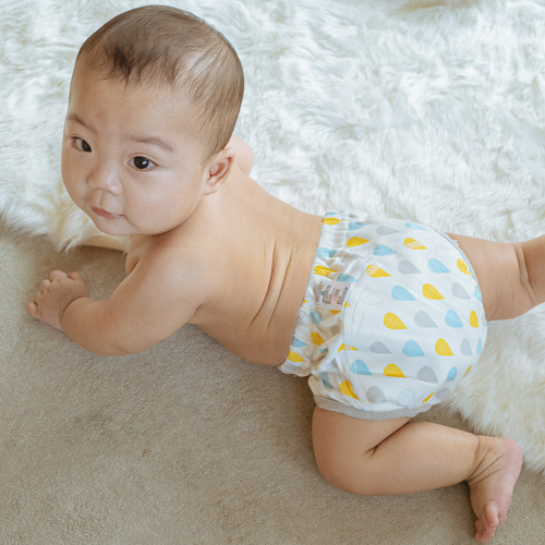 Potty Training Pants