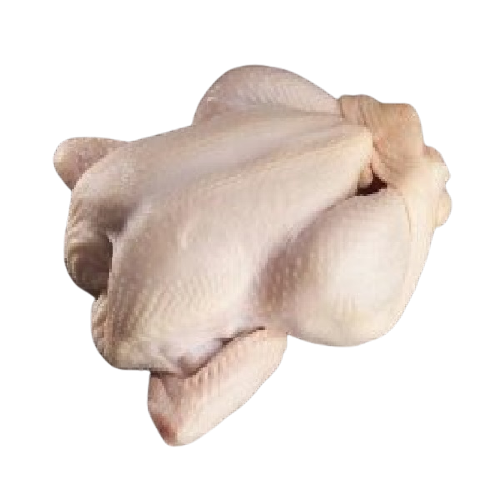 Frozen chicken