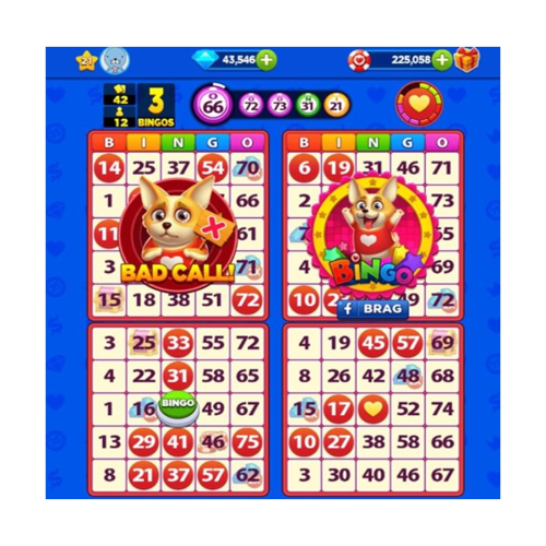 1st Bingo