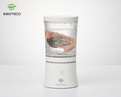 Denture and brace cleaner