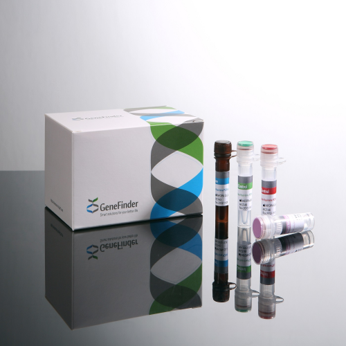 GeneFinder COVID19Flu AB RealAmp Kit
