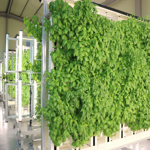 can be installed in any empty space