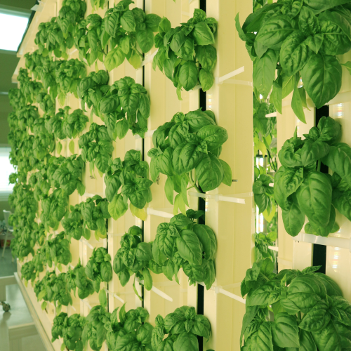 reached ROI with 38 kinds of farm products