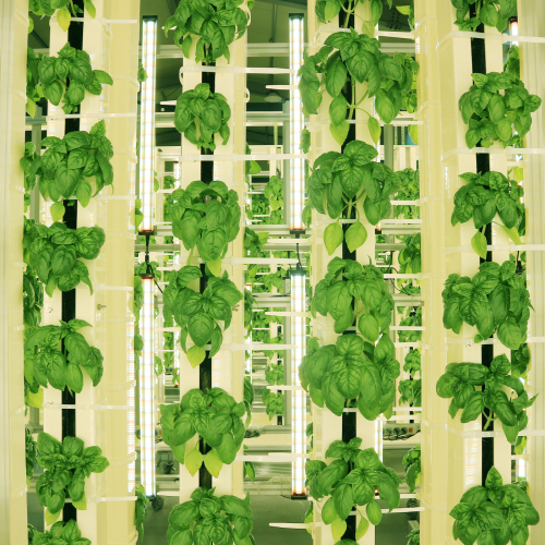 can be customized according to the space