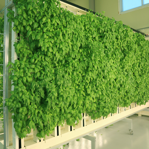 visit our youtube channel `griin`