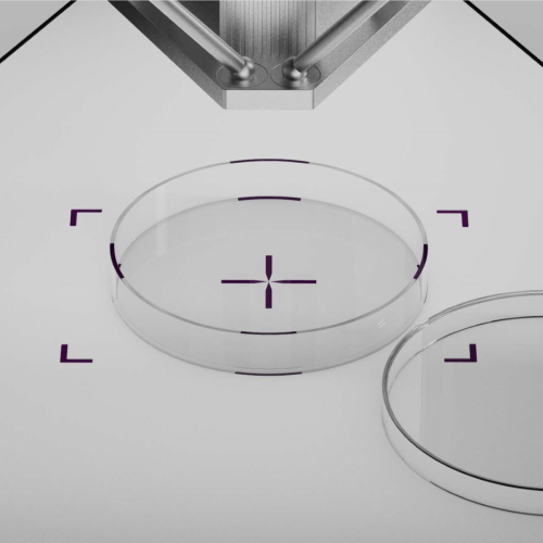 Array-print on standard well plates