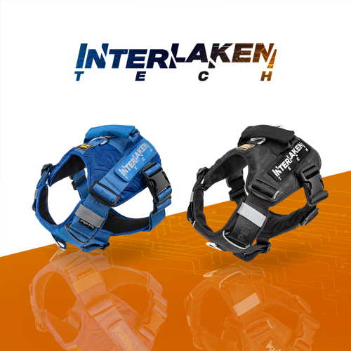 Interlaken Tech Dog Harness