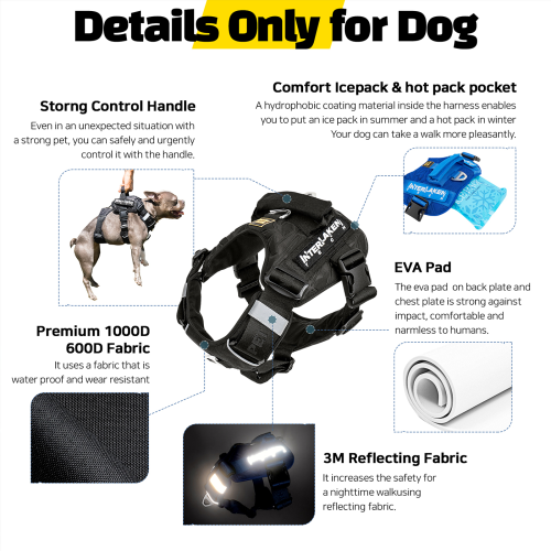 Interlaken Tech Dog Harness