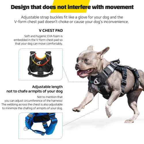 Interlaken Tech Dog Harness