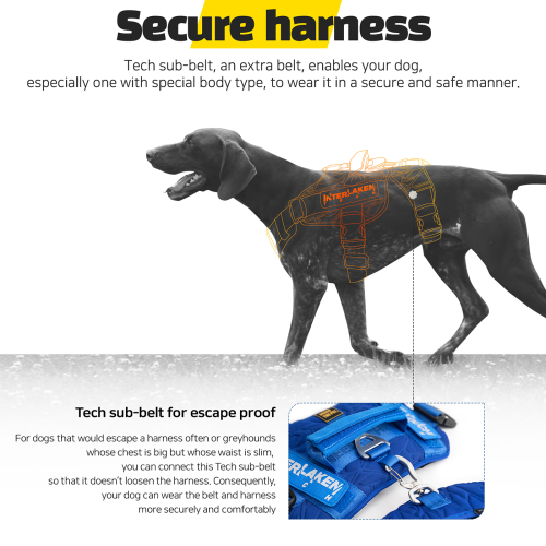 Interlaken Tech Dog Harness