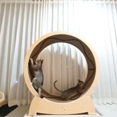 Extreme Quietness and brilliant balancing