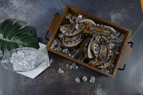  Abalone Convenient to Eat