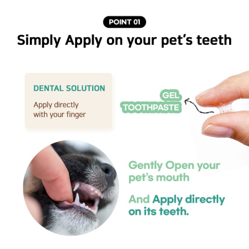 Junglemonster Chicken Flavor Toothpaste For Cat an