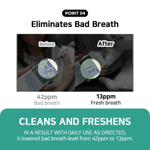 Junglemonster Chicken Flavor Toothpaste For Cat an