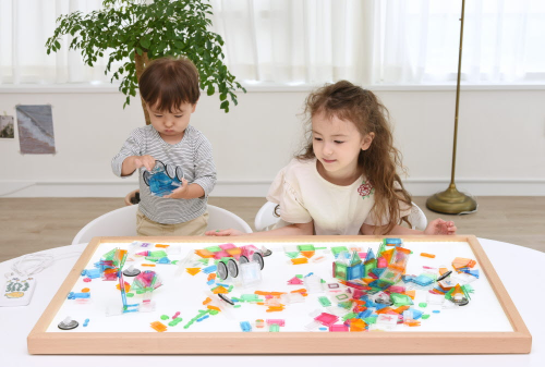DANA PLAY KOREA Twipea Block Toys Double Set 276pc