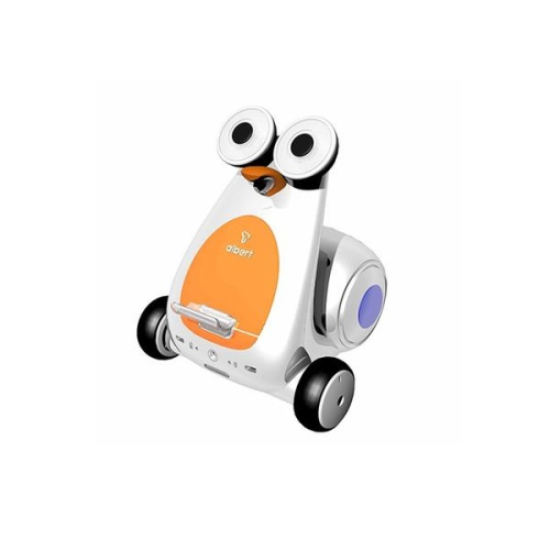 Smart robot ALBERT