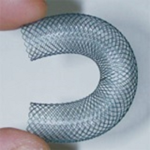 S Biliary Stents Uncovered