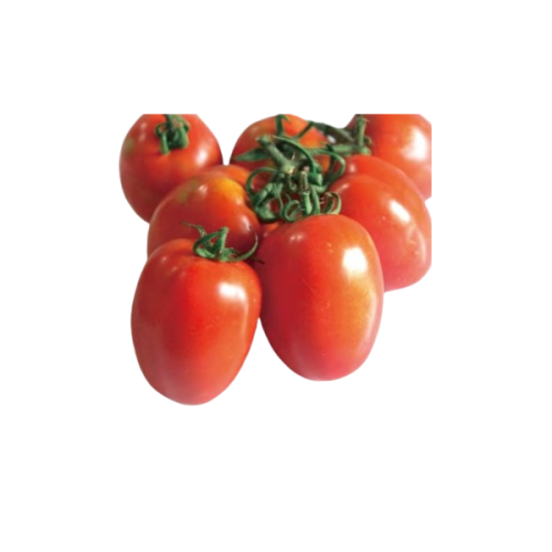 Hybrid Tomato F1 Hero 110