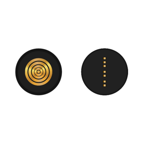 gold coin icon