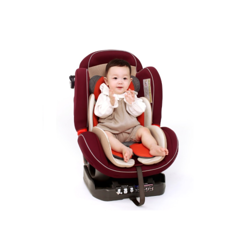 Carseat Mounted Photograph 